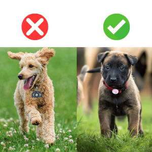 Airtag Halter für Hundekragen & Katzenhalsband – Weiches Silikonetui für Apple Airtag, passend für Haustier- & Pet-Halsbänder Airtag Halter für Hundekragen & Katzenhalsband – Weiches Silikonetui für Apple Airtag, passend für Haustier- & Pet-Halsbänder