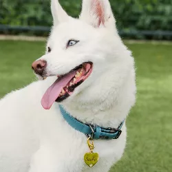 Hundemarke Herz Gold Deluxe