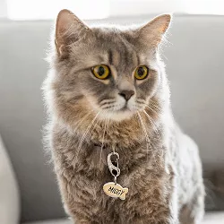 Katzenmarke Fisch Silber