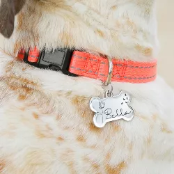 Hundemarke Knochen Silber